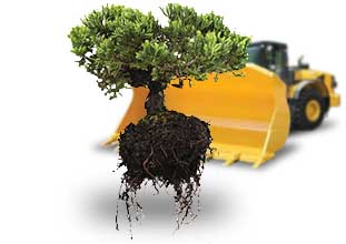 Раскорчёвка участка